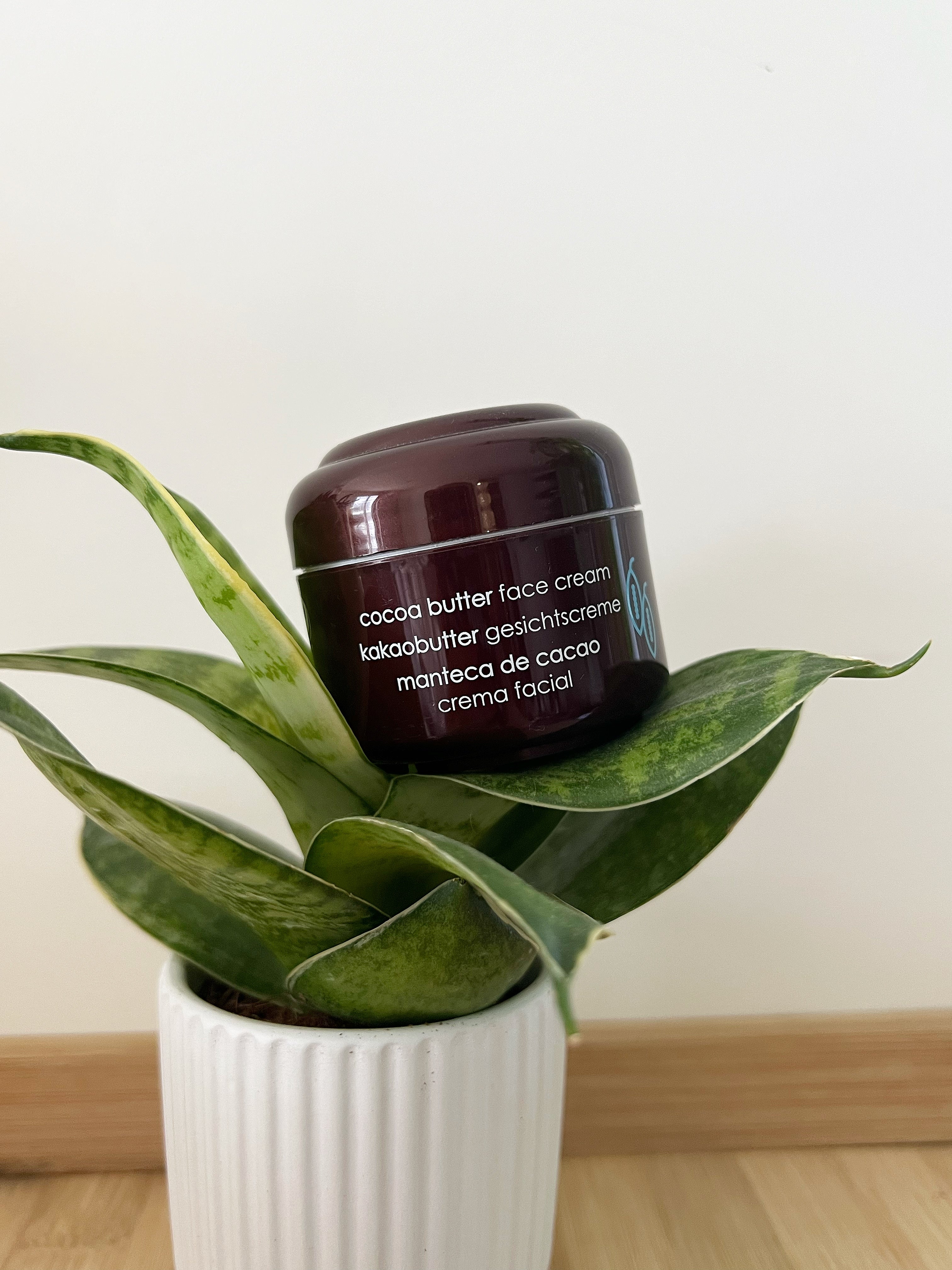 Crème de Jour Nutritive au Beurre de Cacao