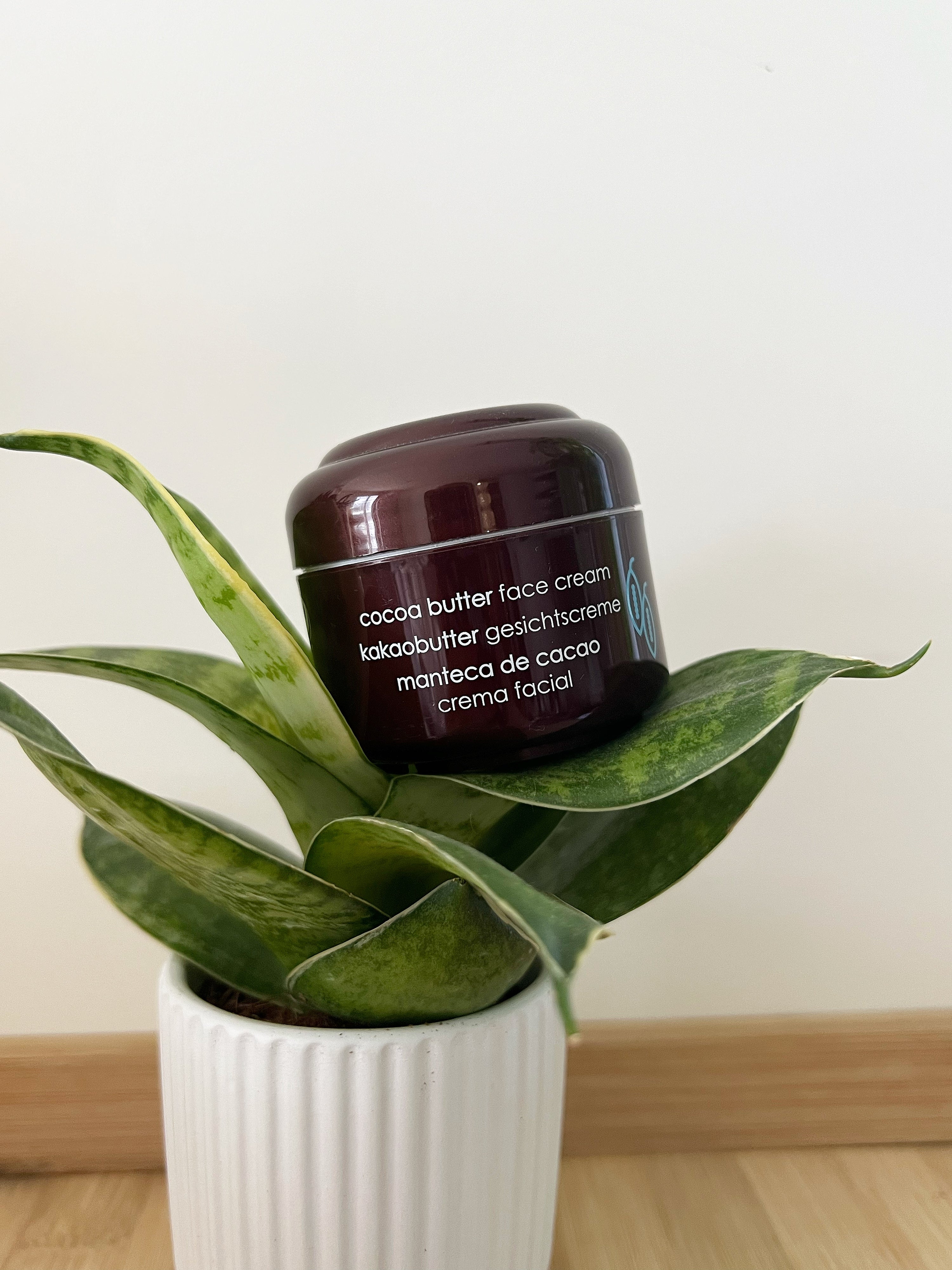 Crème de Jour Nutritive au Beurre de Cacao