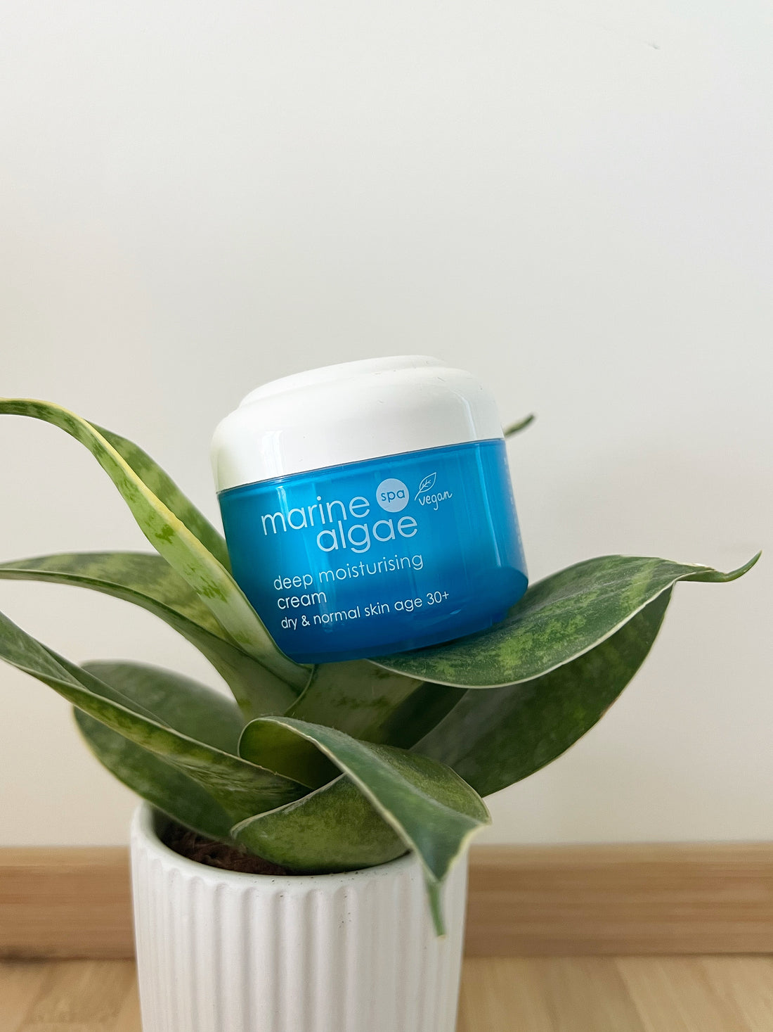 Crème Hydratation Intense aux Extraits Marins