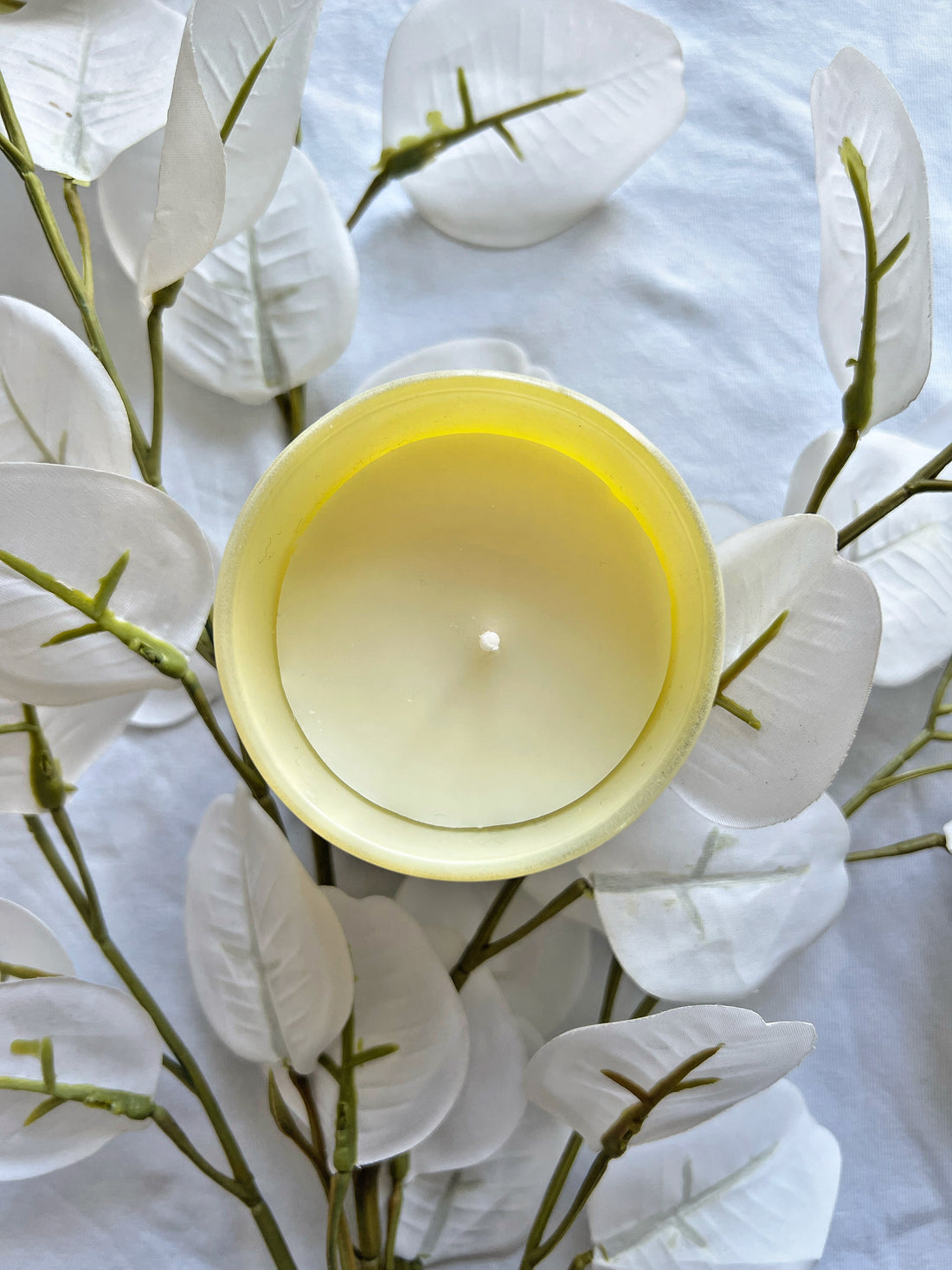 Bougie parfumée fleur de mimosa