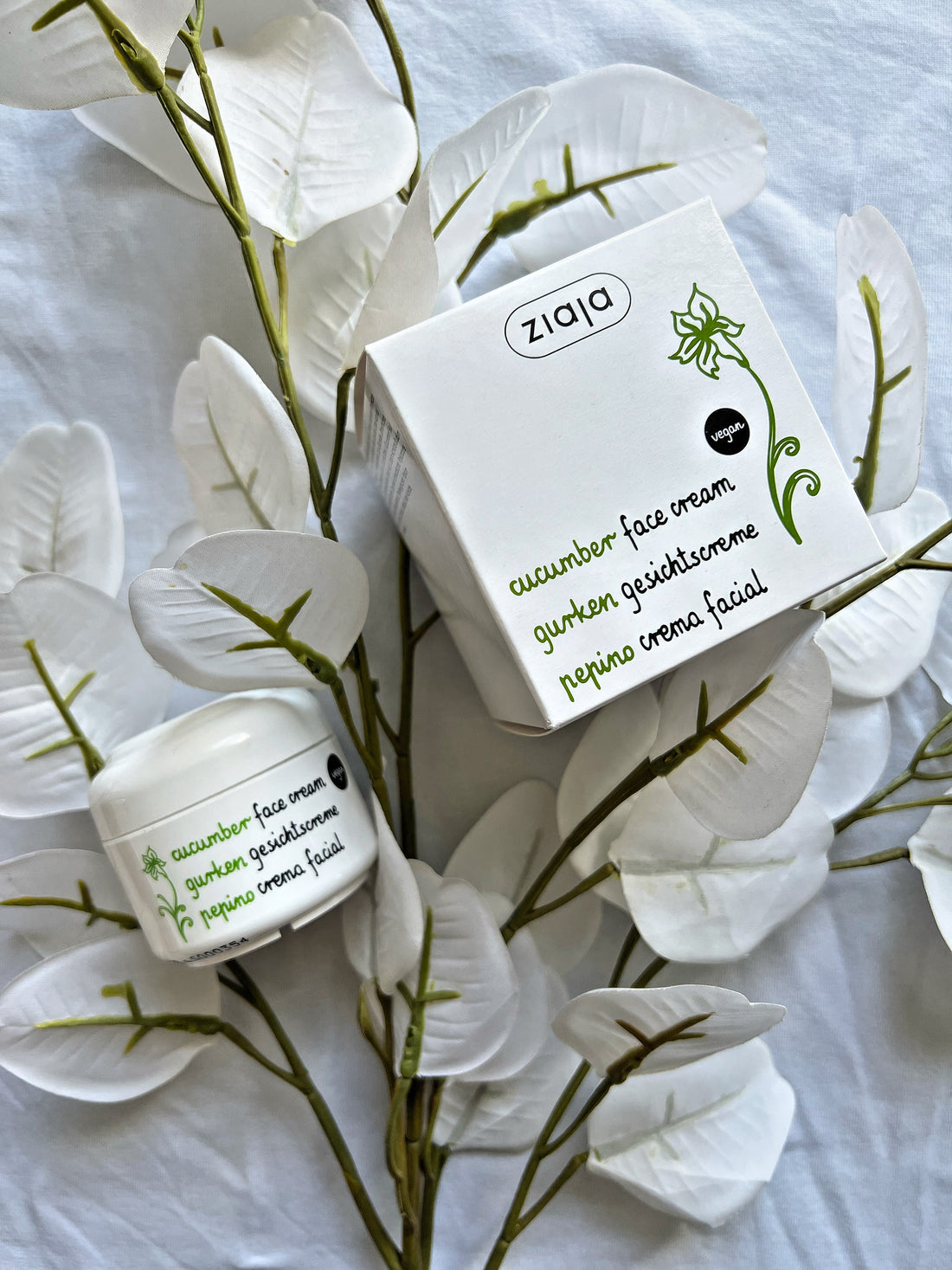 Crème de Jour Régulatrice pour Peau Grasse